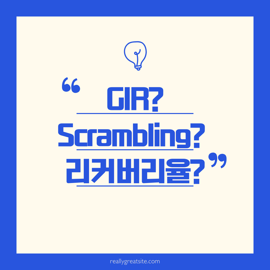 gir과 스크램블링