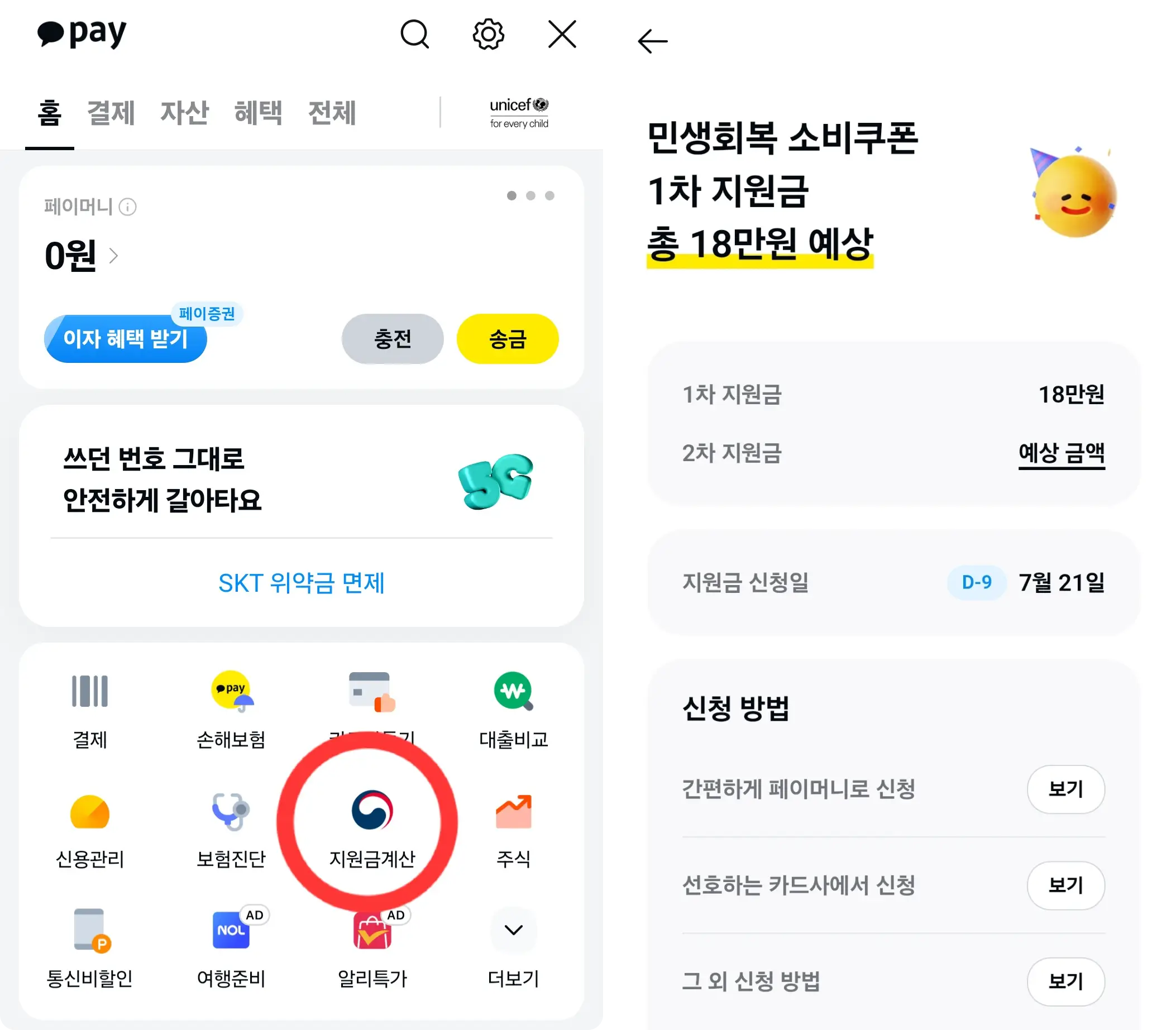 민생회복 소비쿠폰 금액 카카오 페이 확인 화면