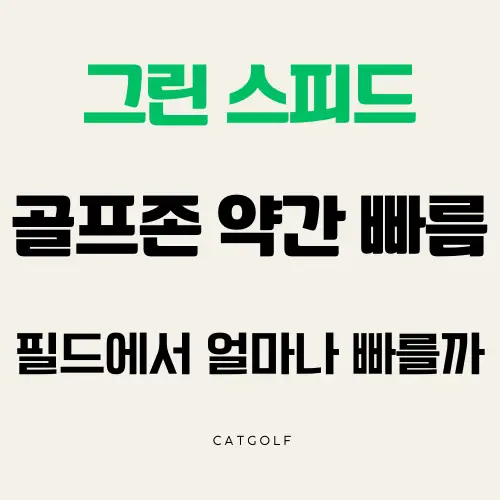 그린스피드 골프존과 스팀프미터 비교 썸네일
